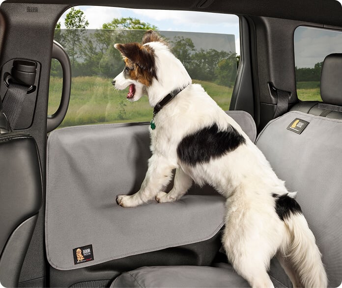 cargo liner