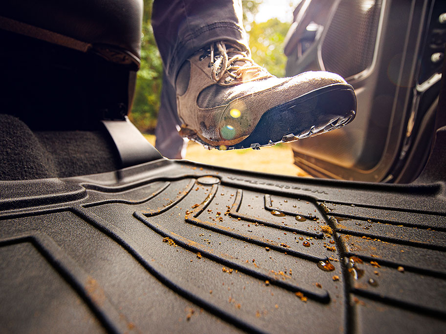 Interior Vehicle Protection