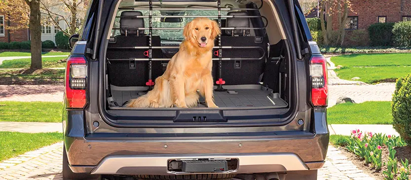 Accessoires pour animaux pour véhicule