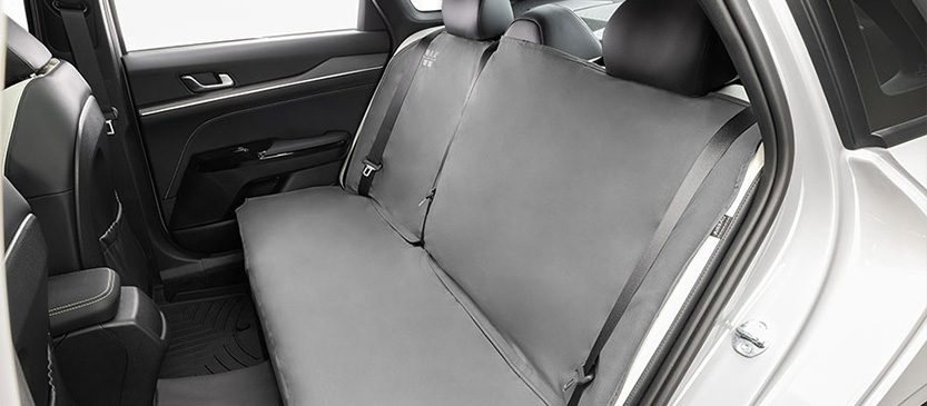 Car Seat & Interior Protection