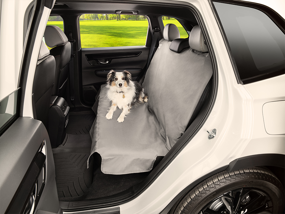 Seat Protector