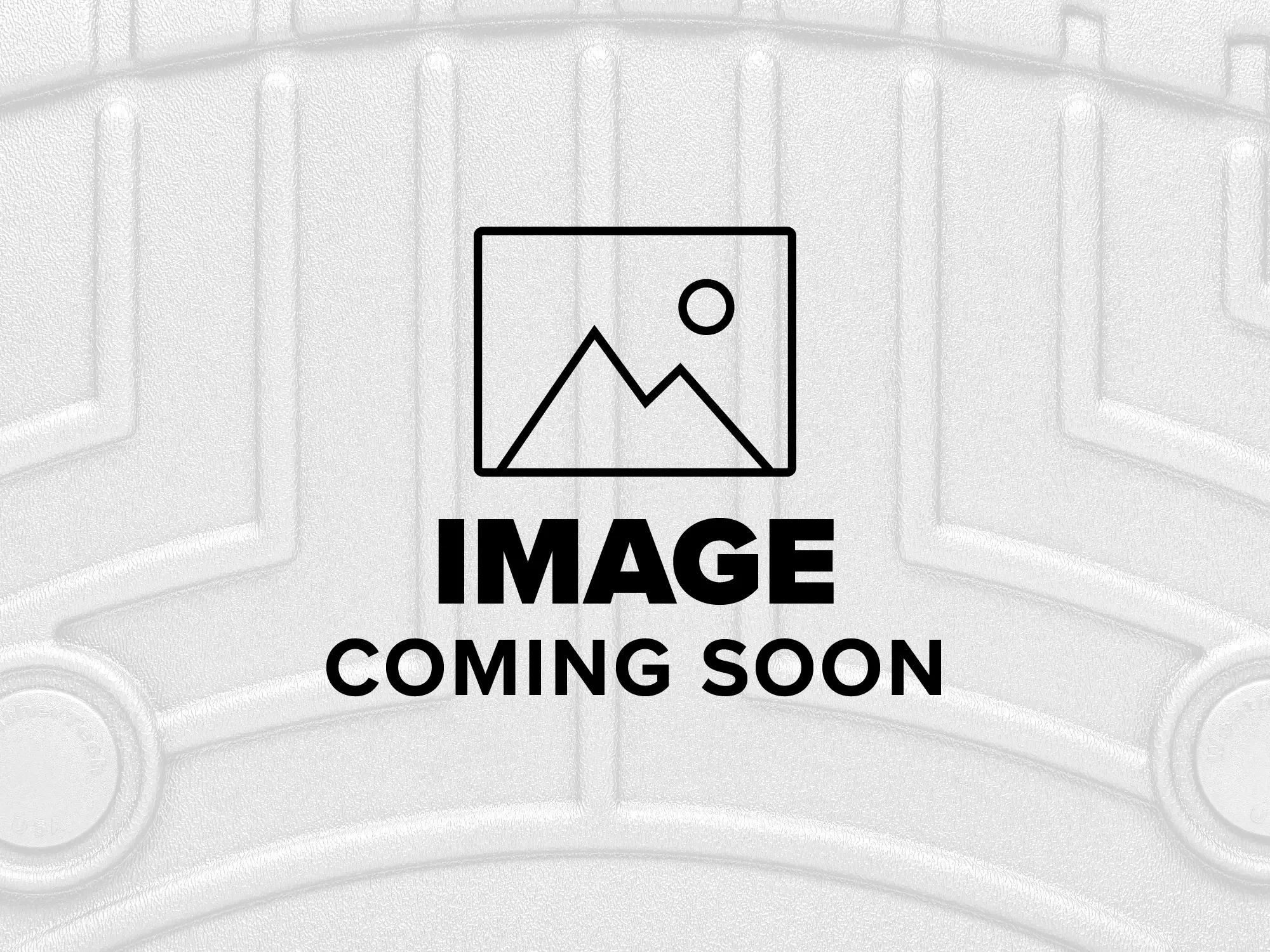RAM Ram 1500 RHO Protecteurs de phares LampGard image number null
